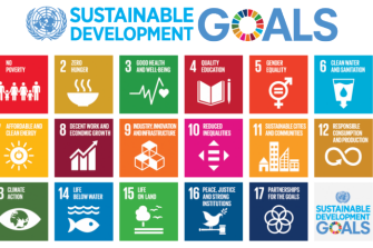 graphic of sustainable development goals