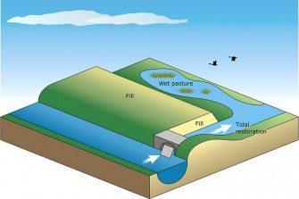 Illustration by Anna Blacka, UNSW Water Research Laboratory