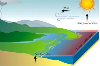 Climate change in NSW estuaries