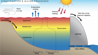 Illustration by Anna Blacka, UNSW Water Research Laboratory 