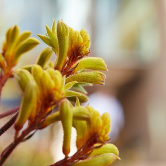 Environmental sciences