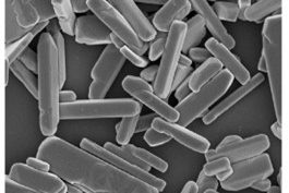 Novel multiscale fibre composites under a microscope