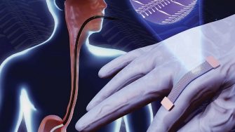 Soft wearable electronics for human health monitoring