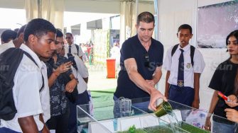 Workshops describing the effects of mangrove habitats on the environment