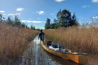 Tomago Wetland monitoring
