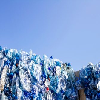 Accelerate the transition to a sustainable society and planet