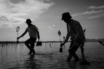 Trapeang Sangkae Fishing Community Members help the group of people from Sathapana Bank team to replant the mangrove trees  on 24th June 2023. Kampot, Cambodia