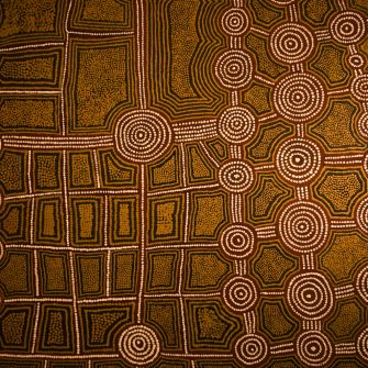 Find out more about indigenous peoples & the law