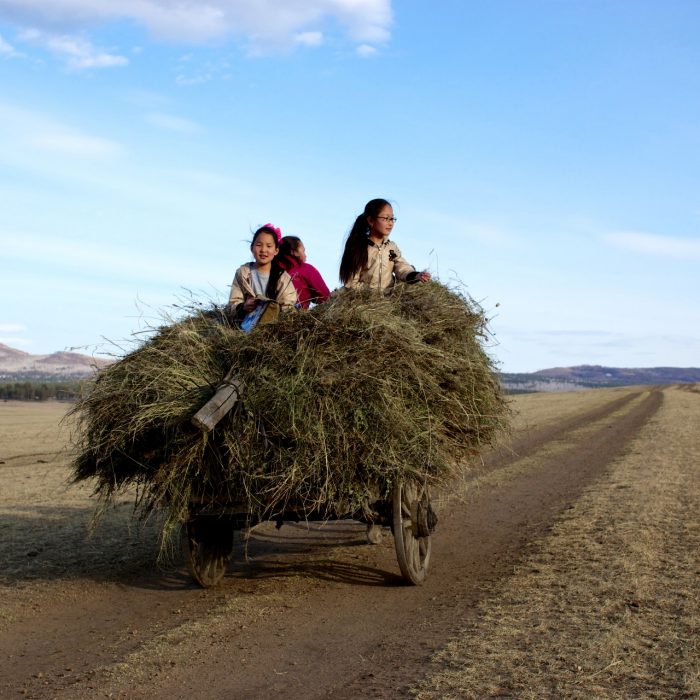 Children hold the future of Mongolia. The World Bank helps its rural education catch up, to make sure children receive education to tackle new challenges as the country is developing fast. Dadal County, Mongolia. Photo: Khasar Sandag / World Bank