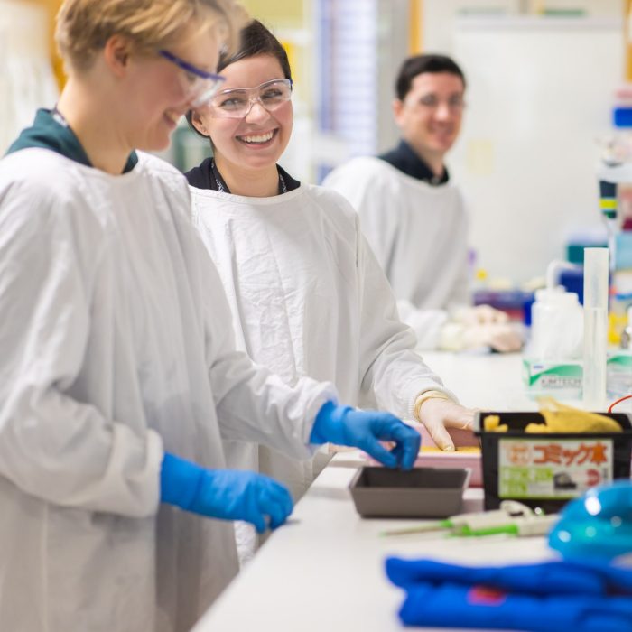 Scientists working at lab bench