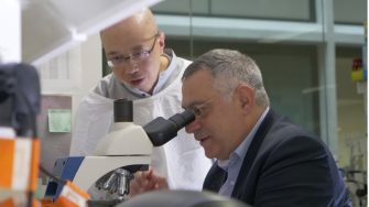 Khachigian Group: Vascular Biology and Translational Research