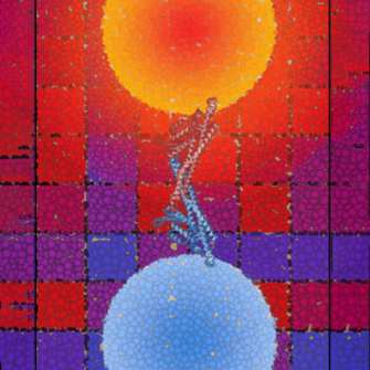 Binding partners illustration