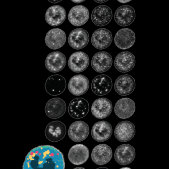 gene regulation single molecule science