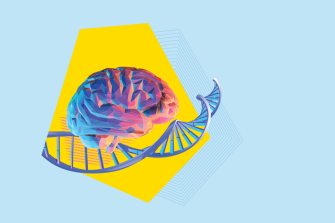 CBDRH Brain DNA