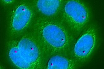 childrens cancer institute