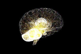 Brain transmitters lit up
