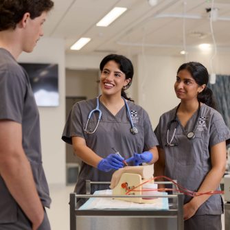 Students in the UNSW Health Translation Hub
