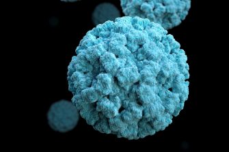 3D graphical representations of norovirus virions