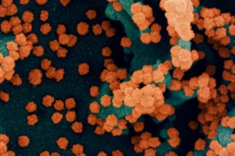 Novel Coronavirus SARS-CoV-2