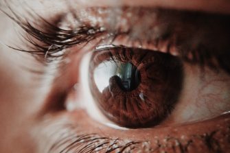 Close up of a brown adult eye