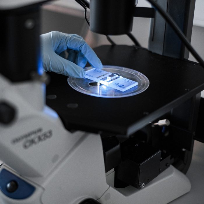 2025-01-28-olympus-ckx53-inverted-microscope