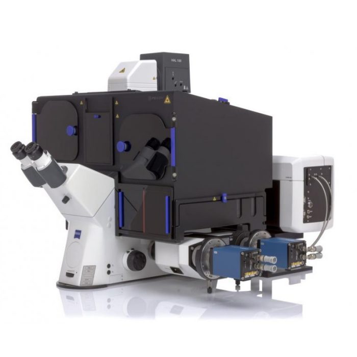 2025-02-07-elyra-palm