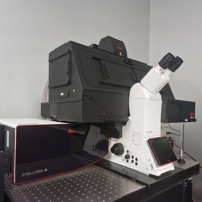 2025-02-07-stellaris