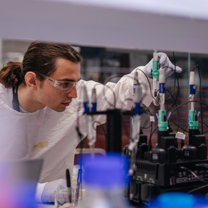 RPF protein expression