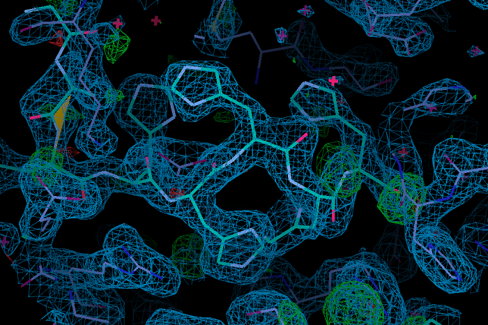 sbf-protein structure