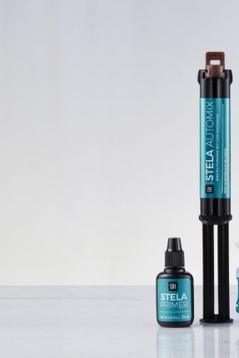 Image showing Stela bulk fill capsule syringe and primer