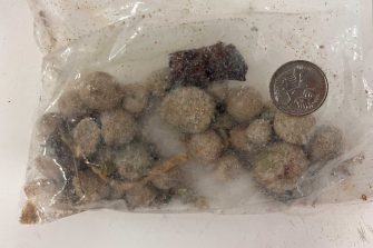 The beach debris that washed up on Dee Why beach, collected by scientists from UNSW Chemistry