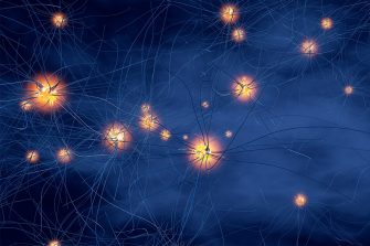 A network of neurons