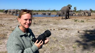 tempe adams elephant centre
