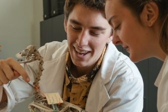 Two students examing a model of a dinosaur skeleton