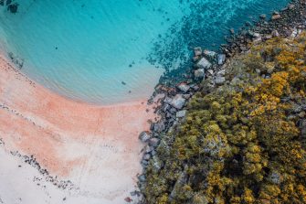 Drone image of Sydney beach