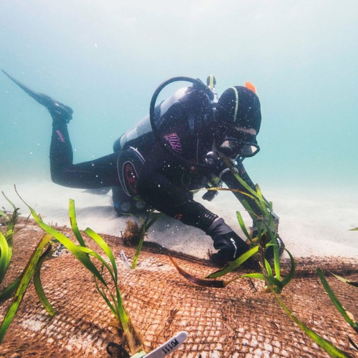 Associate Professor Adriana Verges scuba diving