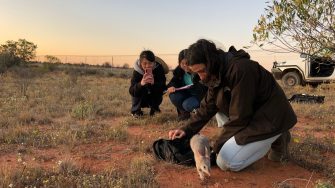 Students Releasing Bilby - Wild Deserts