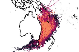 Numerical particle tracking