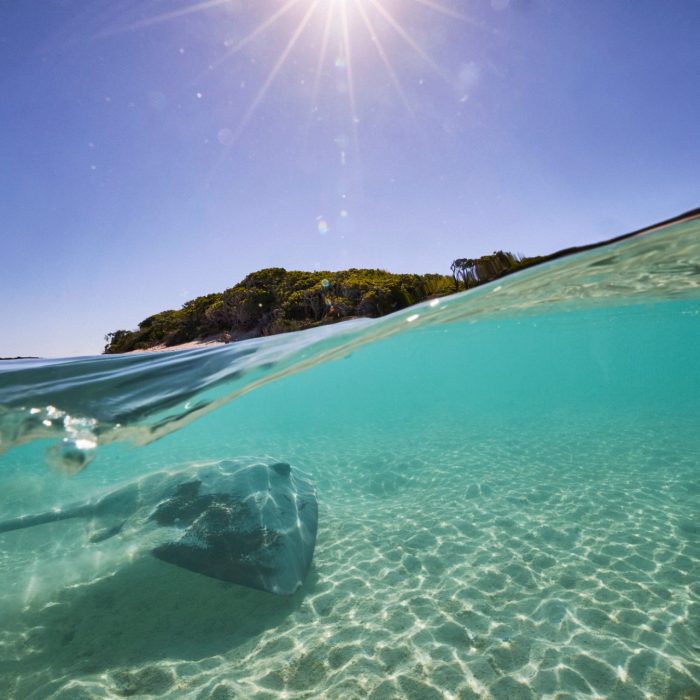 UNSW Heron Island Coral Reefs in a Changing Climate Course