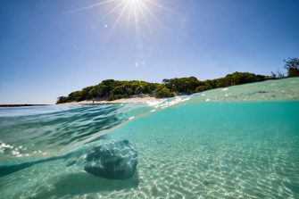 UNSW Heron Island Coral Reefs in a Changing Climate Course