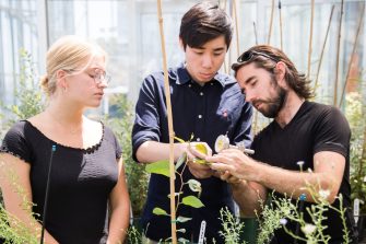 Students in the School of Biological, Earth and Environmental Sciences Glasshouse inspecting plants