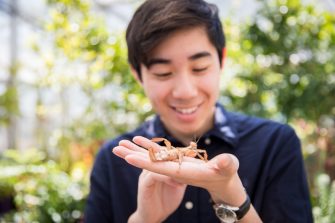 Students in the School of Biological, Earth and Environmental Sciences Glasshouse inspecting plants