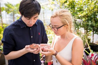 Students in the School of Biological, Earth and Environmental Sciences Glasshouse inspecting plants