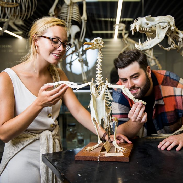 Photograph of a group of science students examinig some dinosaur bones
