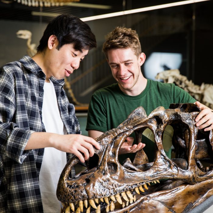 Palaentology students and bones