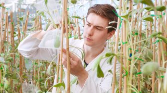 Student studying plants in glasshouse