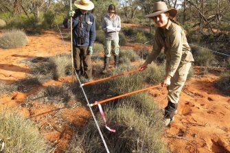 BEES volunteers in the bush