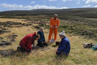 BEES on Weddell Island