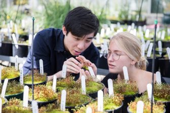 Two students in greenhouse