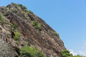 Lava rock covered with vegetation etched against a blue sky